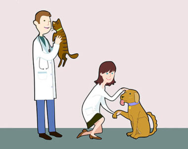Become a Vet Tech Image